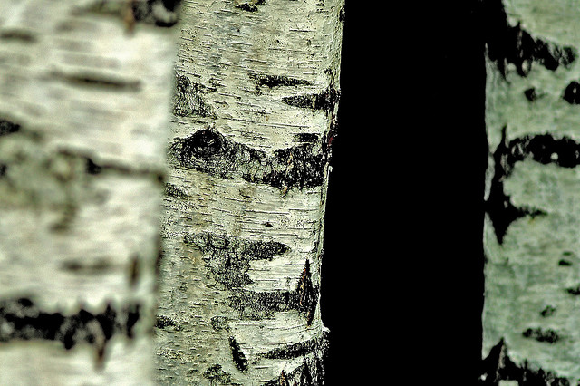 2843323142_48217748ca_z