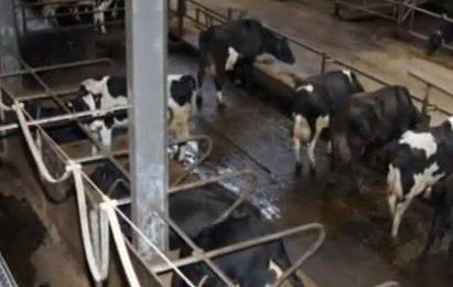 Lasiet žurnāla “Agro Tops” februāra numurā! Lasiet žurnāla “Agro Tops” februāra numurā!