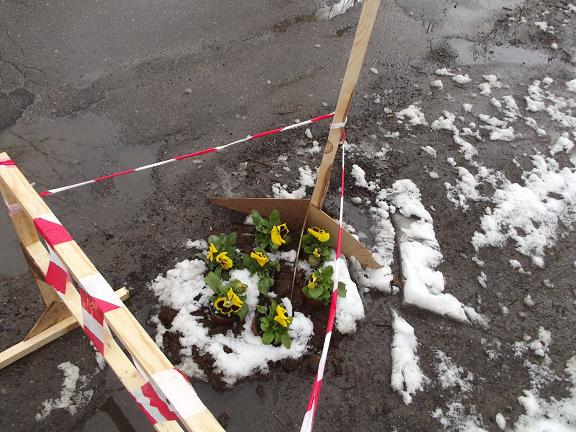 Foto_ 009_Ogre