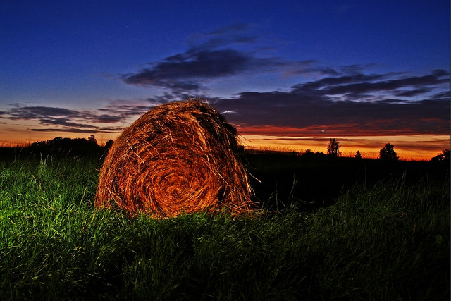 3659323045_b304598f4d_z