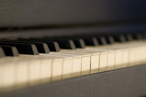 379048383_4377e926a8_z