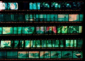 456852642_ded5531a3b_z