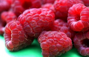 225231412_8ffecfbf82_z-300x195