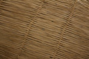 8617304205_89a0dd1794_z-300x199