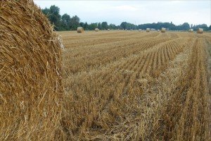 9471937520_00694195f7_z