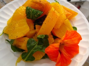 beet-and-orange-salad-300x224