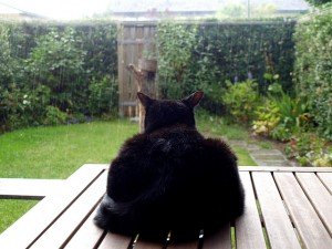 14487475986_f66234cdcf_z