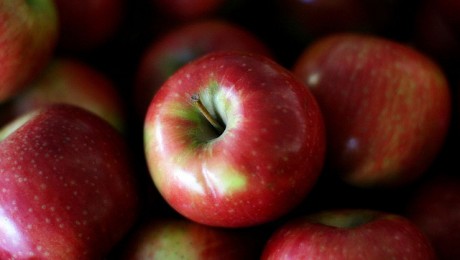 Plāno palielināt ābolu ražošanas apjomu