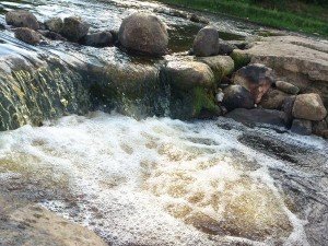 BtkmJ-IIAAABluN-300x225