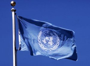 un-flag-300x221