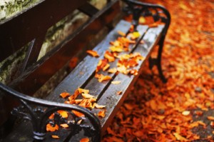 autumn-bench-fall-leaves-orange-park-Favim.com-84090