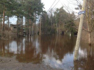 BID4_-WCMAAY66T-300x224