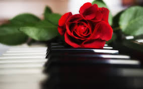 images