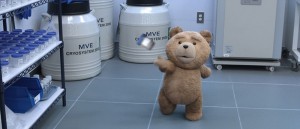ted2 (2)