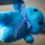 stuffed-toy-931835_1920