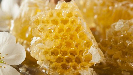 Garšīgākais medus šogad Auces novadā Garšīgākais medus šogad Auces novadā