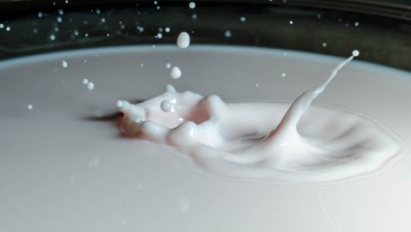Piena ražotāji: šī ir smaga pārbaude
