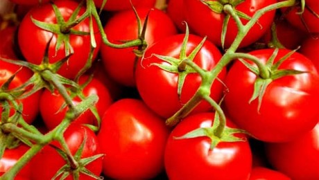 Kā iegādāties garšīgus un kvalitatīvus tomātus?